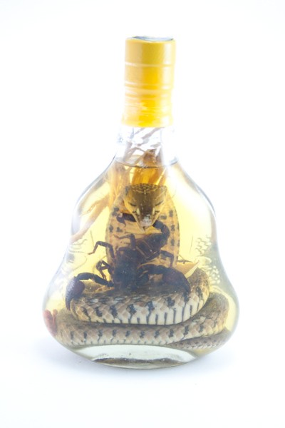 BUY A SECOND BIG SNAKE WINE BOTTLE FOR $49 USD ONLY