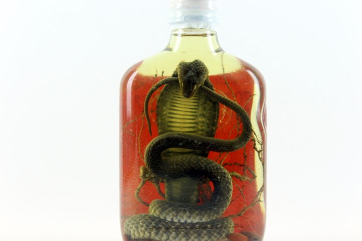 Snake Liquor Authentic from Laos Don Sao Island
